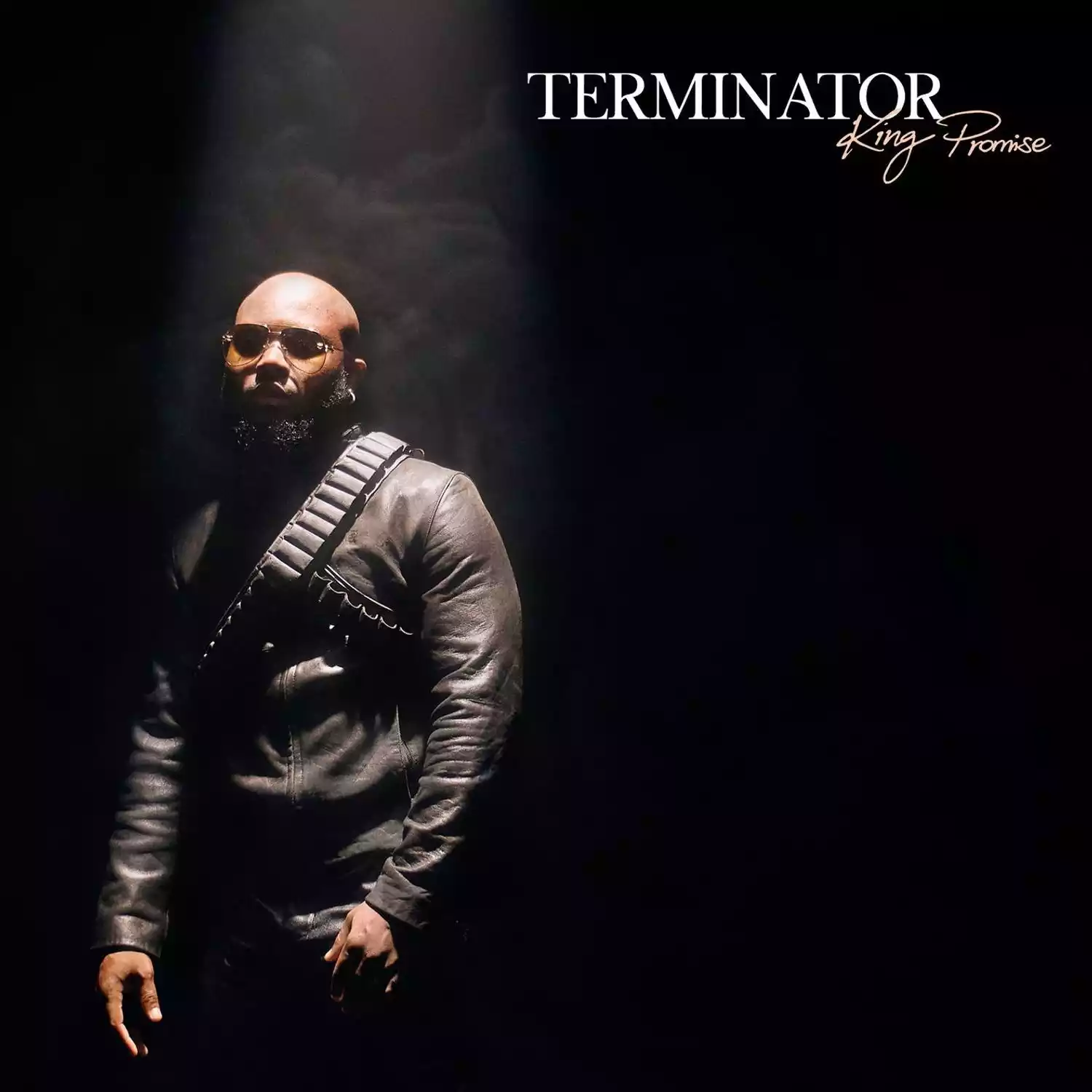 King Promise - Terminator Mp3 Download